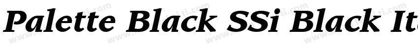 Palette Black SSi Black Italic字体转换